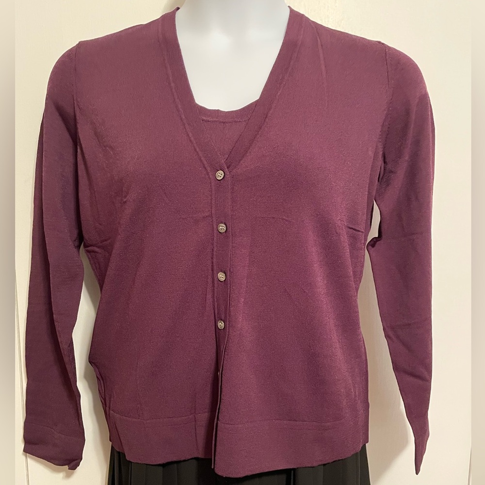 Ann Taylor Sweater Set